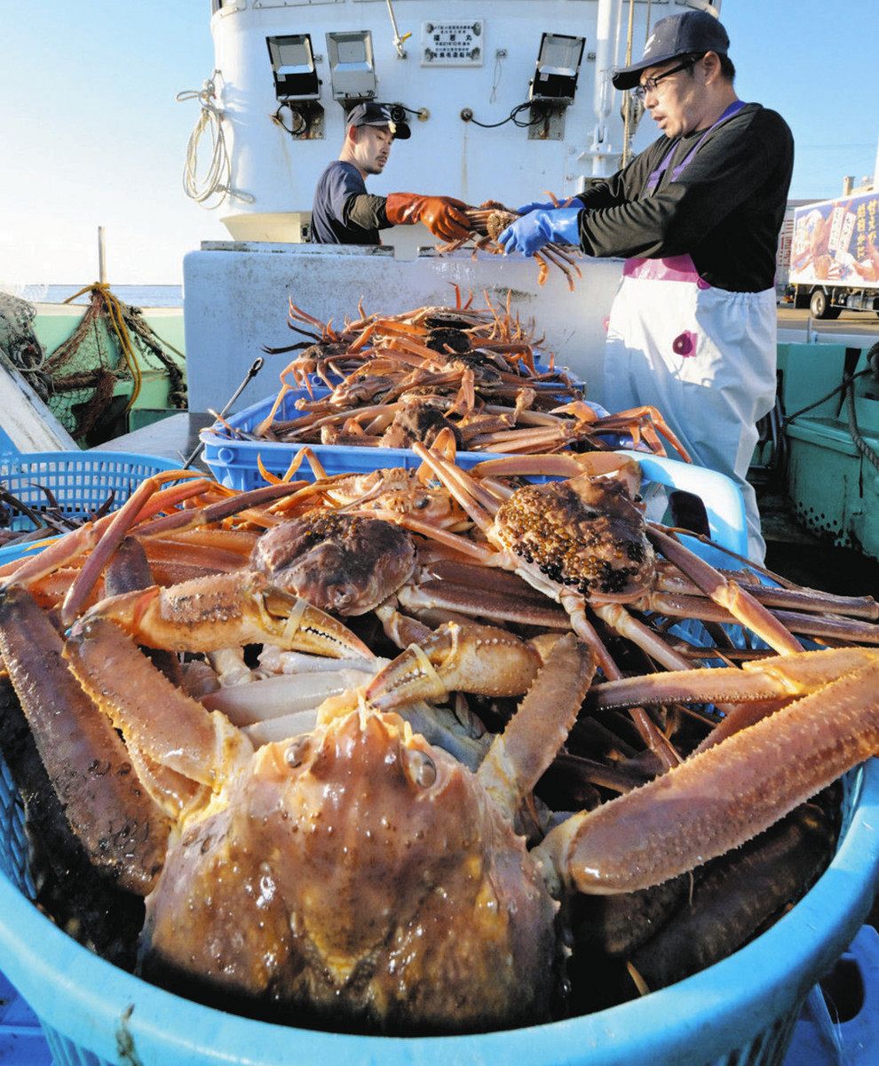 戦前】カ二缶詰の栄養に関する資料【蟹工船の雇主か水産会社のPRしか
