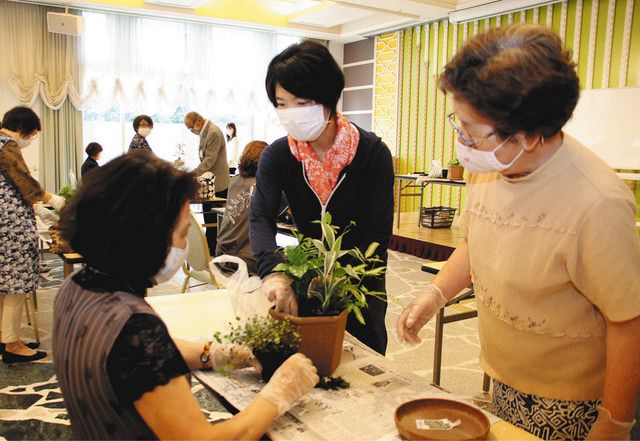 寄せ植え コツつかんだ 額公民館 もくれん学級 北陸中日新聞web