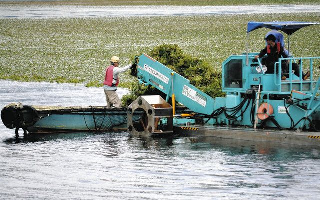 諏訪湖の水草「ヒシ」今年は計624トン刈り取り なぜ除去が必要？＜し