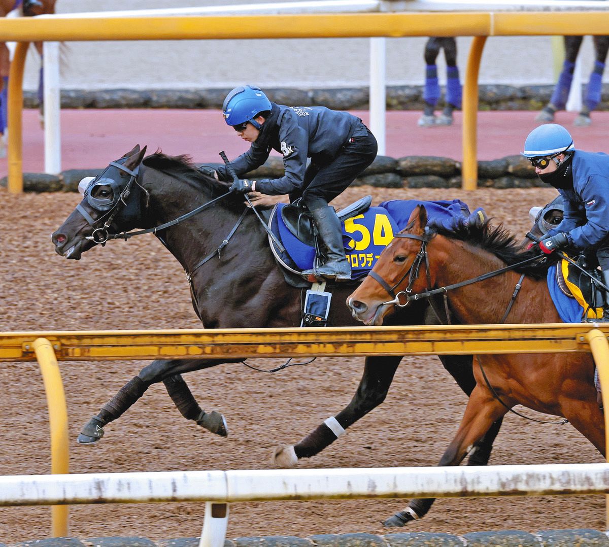 大阪杯展望】クロワデュノールは初の阪神も仕上がり問題なし 24年