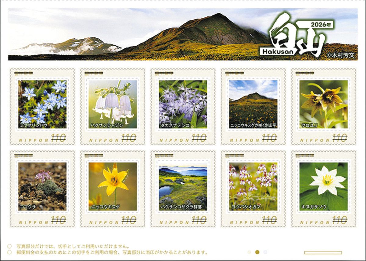 白山の高山植物 フレーム切手に 日本郵便きょう発売：北陸中日新聞Web