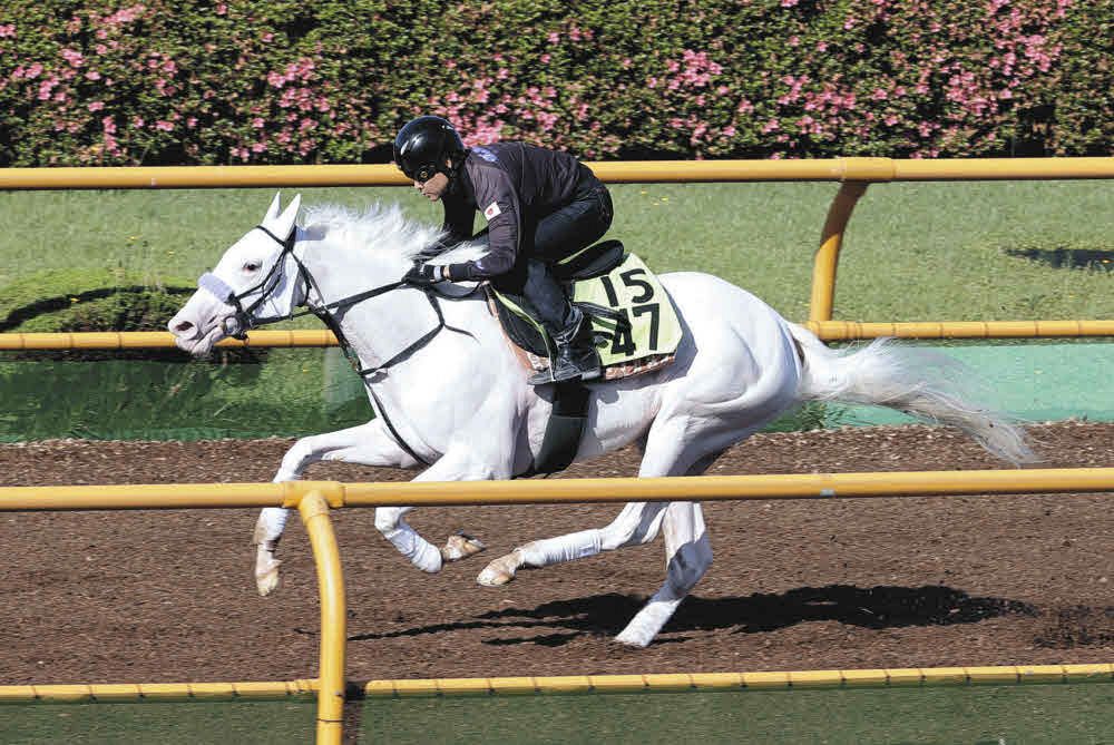 武豊がマルガの新たな白毛伝説の第一歩を導く、土曜日は8鞍に騎乗し