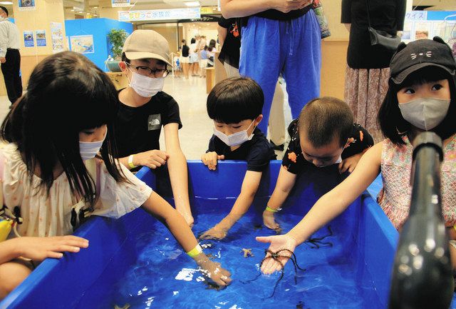 生き物やデジタル体験に子どもら歓声 津で夏休みの催し：中日新聞Web