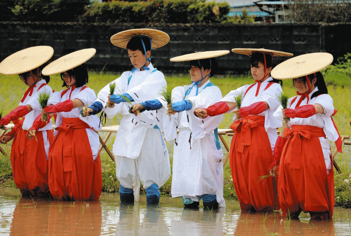 五穀豊穣祈る御田植祭：中日新聞しずおかWeb