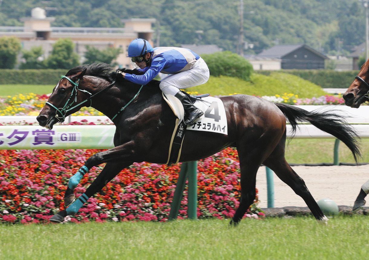 福島5R新馬戦】1番人気ナチュラルハイが新馬V「フワフワして子供っぽい