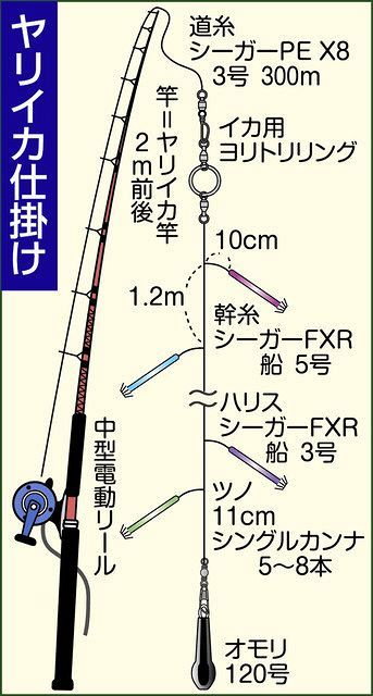 釣ったヤリイカで大型魚を狙う 葉山鐙摺港 与兵衛丸 から出船 中日スポーツ 東京中日スポーツ 釣ったヤリイカで大型魚を狙う 葉山鐙摺港 与兵衛丸 から出船 中日スポーツ 東京中日スポーツ