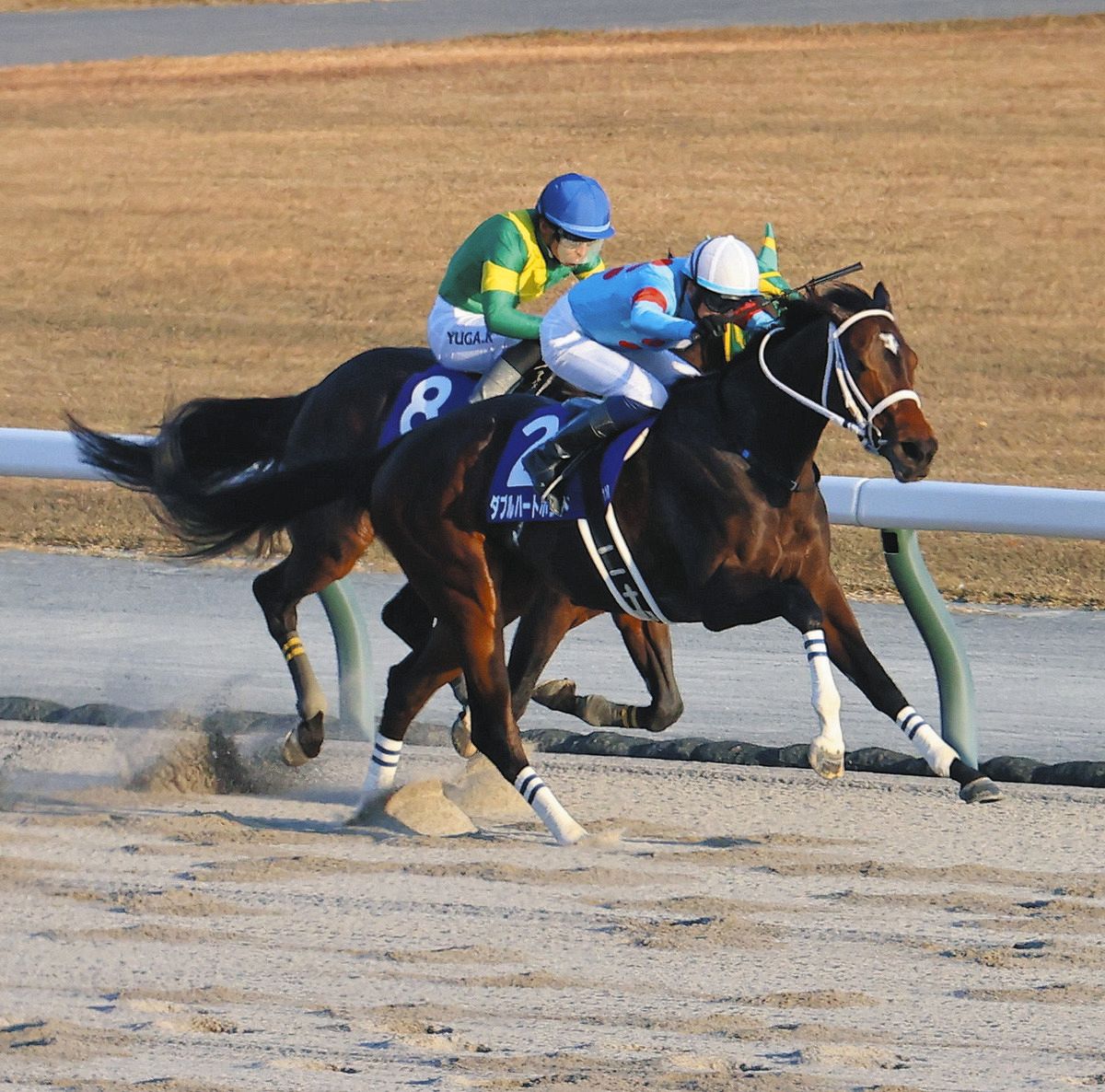 本城雅人コラム】日本人で2人しかいないBC勝利ジョッキーによる記憶に