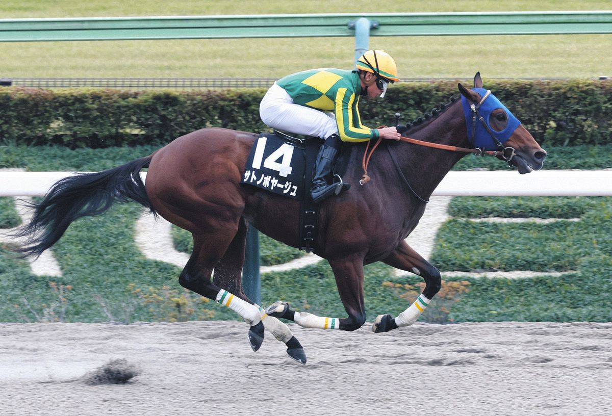 東京9R・オキザリス賞】1番人気に応えサトノボヤージュが5馬身差の圧勝