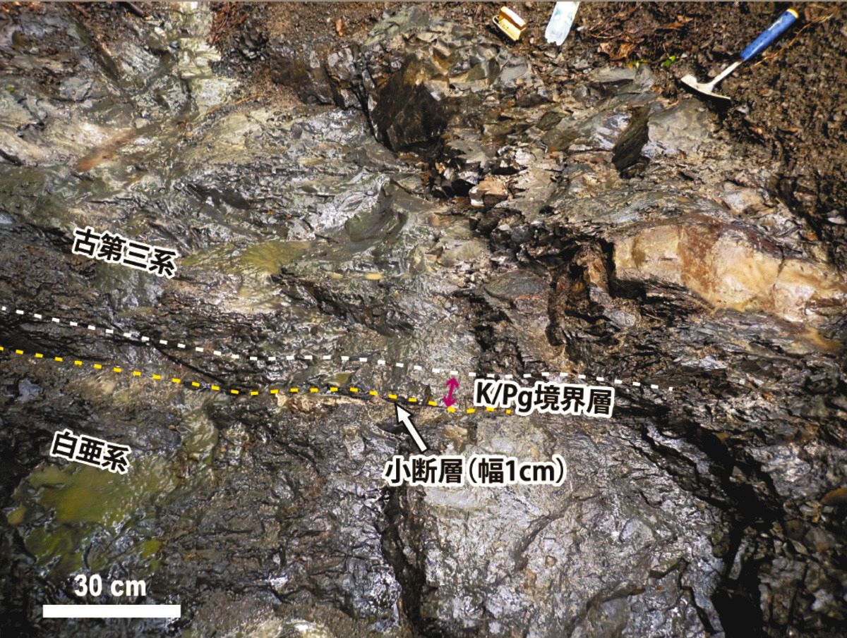 恐竜を絶滅させた小惑星衝突の痕跡、北海道の地層から発見 北東アジア