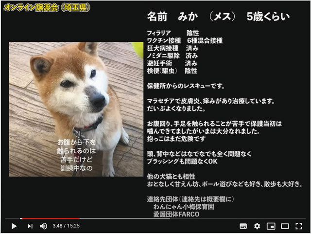 犬 猫譲渡会 ネットに活路 ３密 で中止次々 紹介動画を投稿 中日新聞web