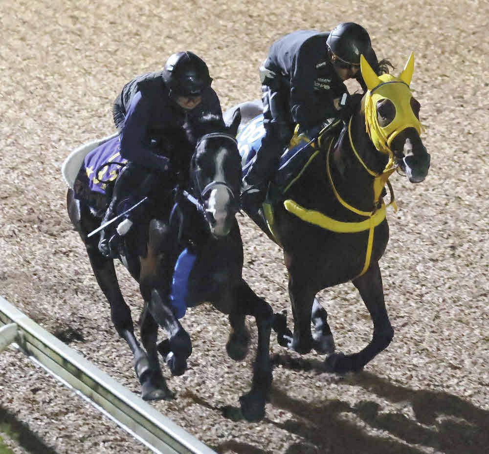 ハーツクライ　キングジョージ６世＆クイーンエリザベス　名前入り単勝馬券　的中馬券 キングジョージ6世＆クイーンエリザベスS】マスカレードボール国内最終