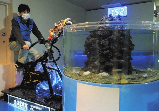 自転車で発電 水流水槽 魚津水族館に体験コーナー 北陸中日新聞web