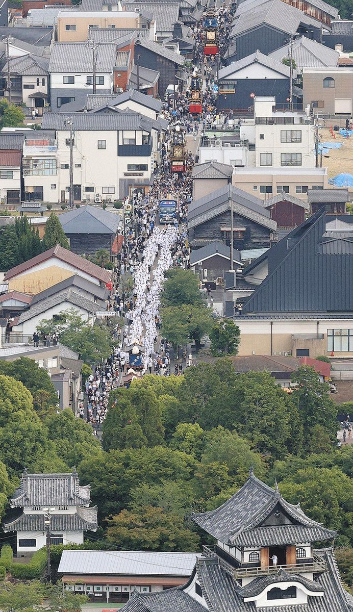 ご神木に犬山城下町が沸いた 車山も彩り添える：中日新聞Web