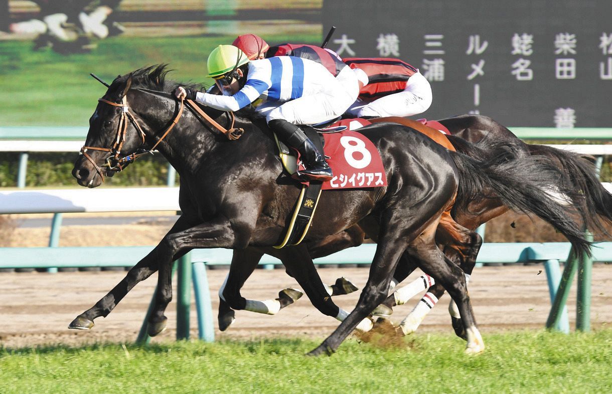 中山記念 ヒシイグアスがコースレコードタイで破竹の4連勝 松山 最後まで脚色が衰えず 強いレース 中日スポーツ 東京中日スポーツ 中山記念 ヒシイグアスがコースレコードタイで破竹の4連勝 松山 最後まで脚色が衰えず 強いレース 中日スポーツ 東京中日スポーツ