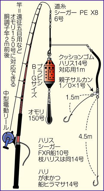 パワフルな引きのメダイ釣りを堪能 静岡須崎港 稲荷丸 から出船 中日スポーツ 東京中日スポーツ