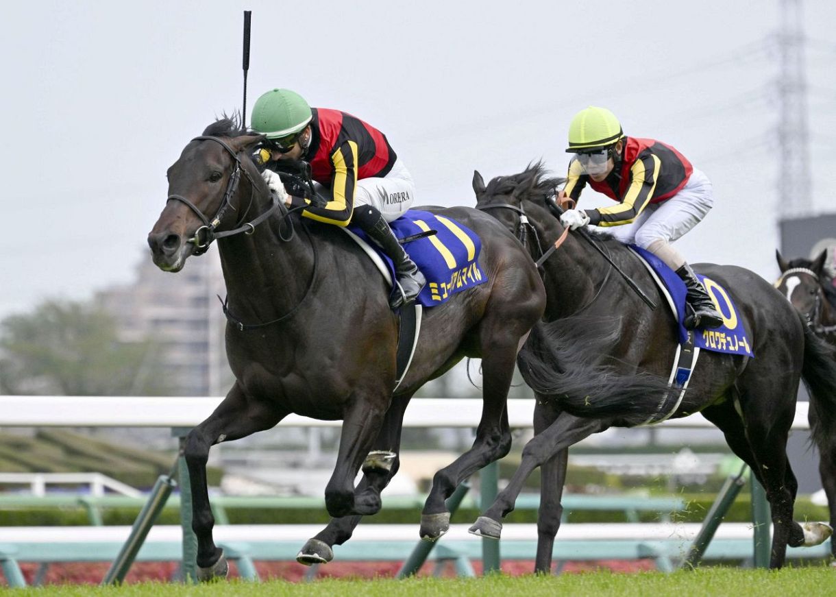 日本ダービー登録馬】皐月賞馬ミュージアムマイル、最優秀2歳牡馬 
