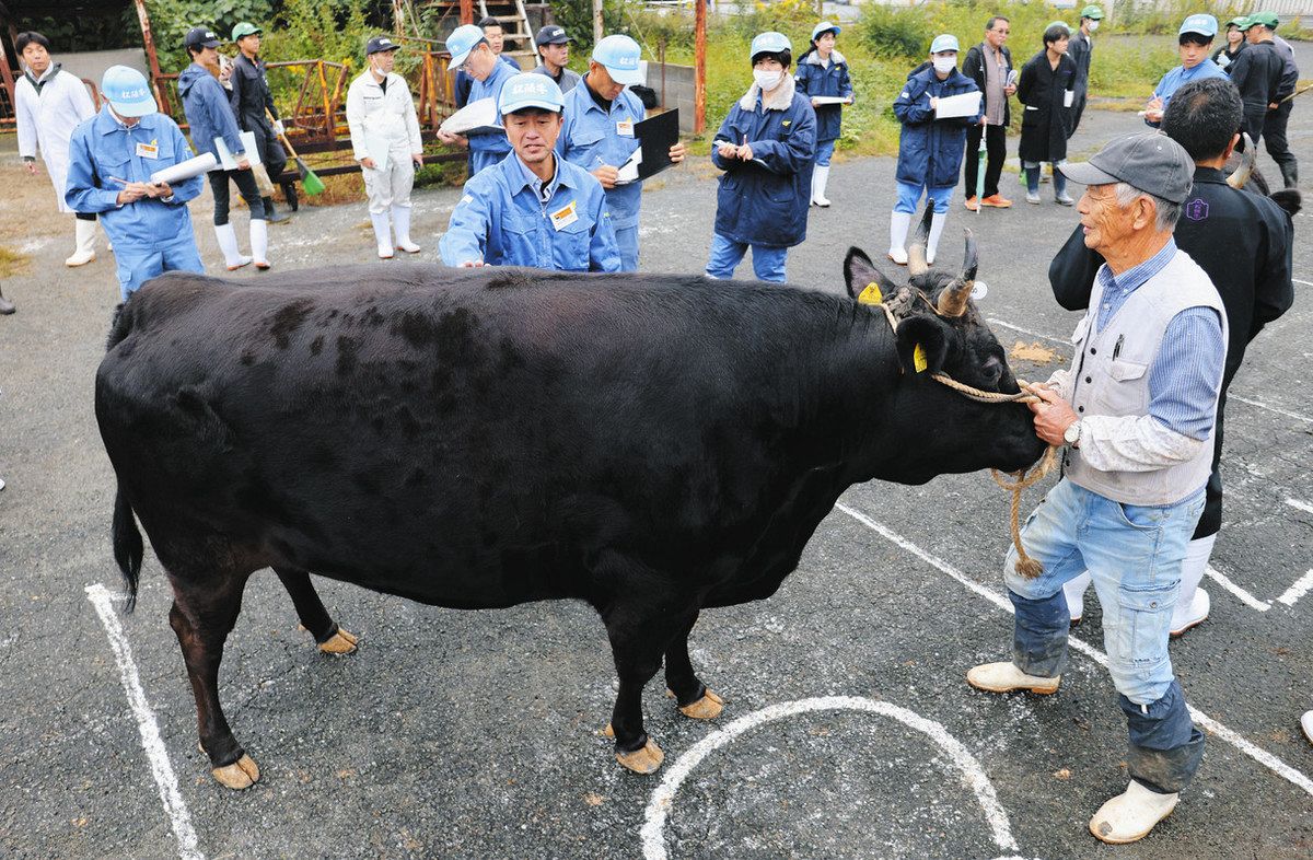 予選会で審査を受ける森本武治さん（右）と「もりやま」号＝松阪市大津町で