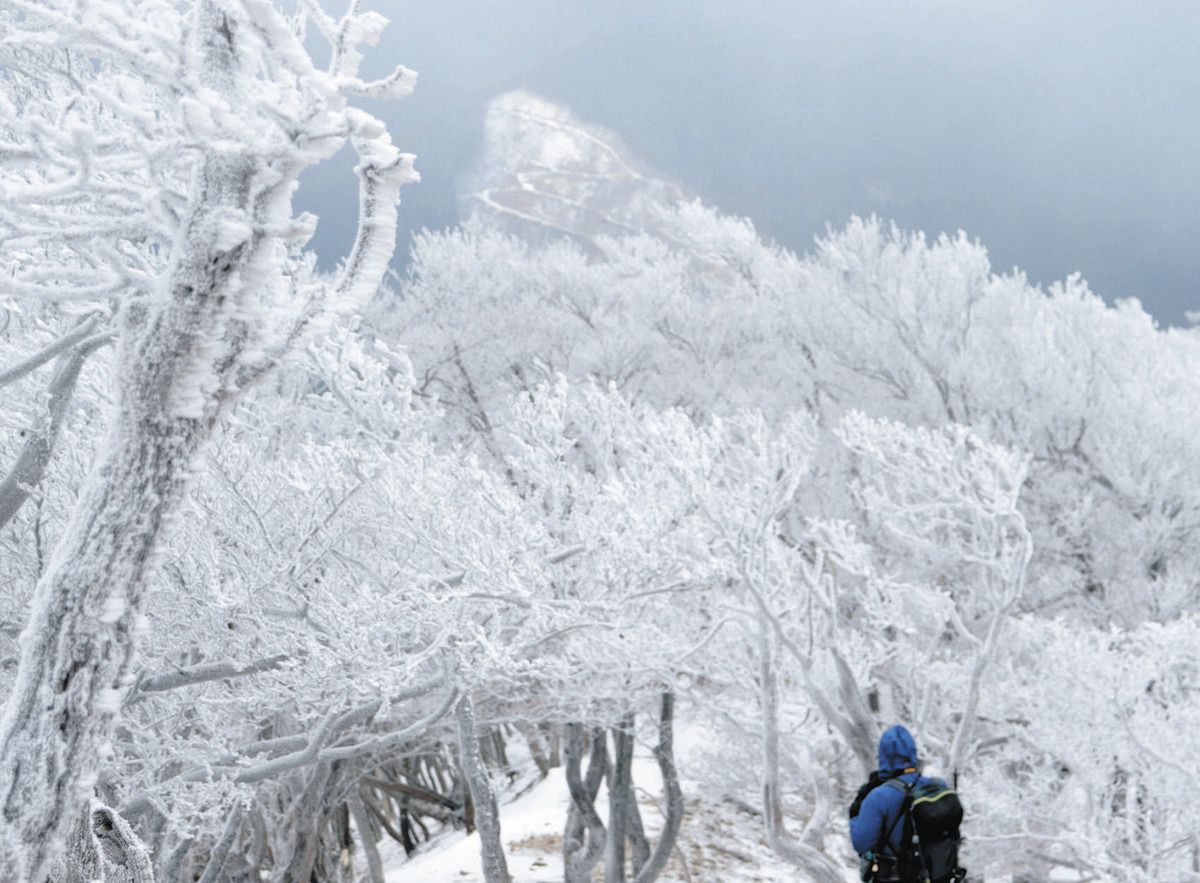 厳寒の高見山が霧氷で白化粧：中日新聞Web