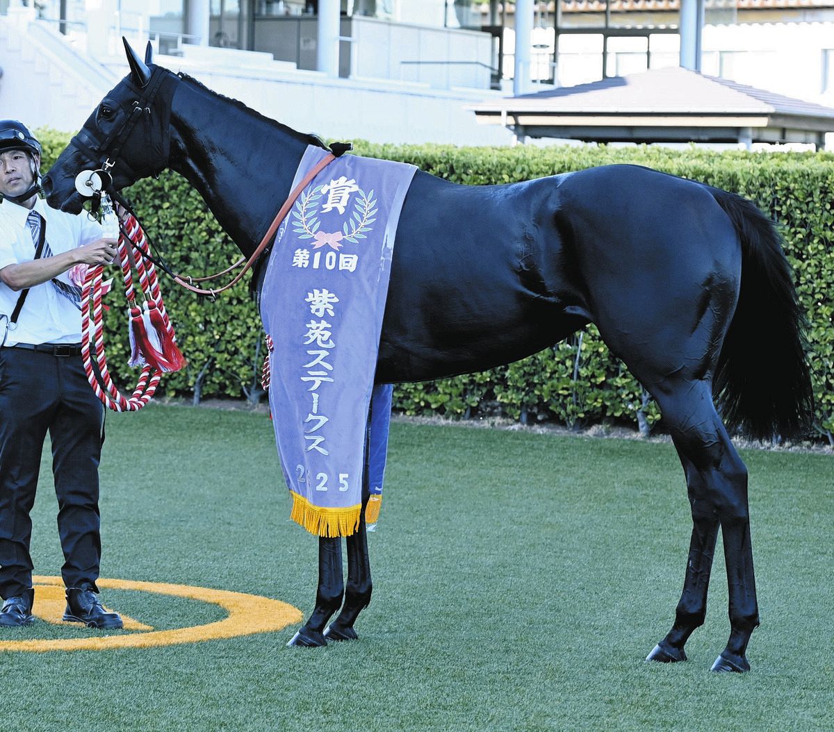 【稀少レア】双頭の馬とローマの兵士★オブジェ★展示品【特価★現品限り★送料無料】 秋華賞1週前追い切り】紫苑S勝ち馬のケリフレッドアスク 「今回も条件