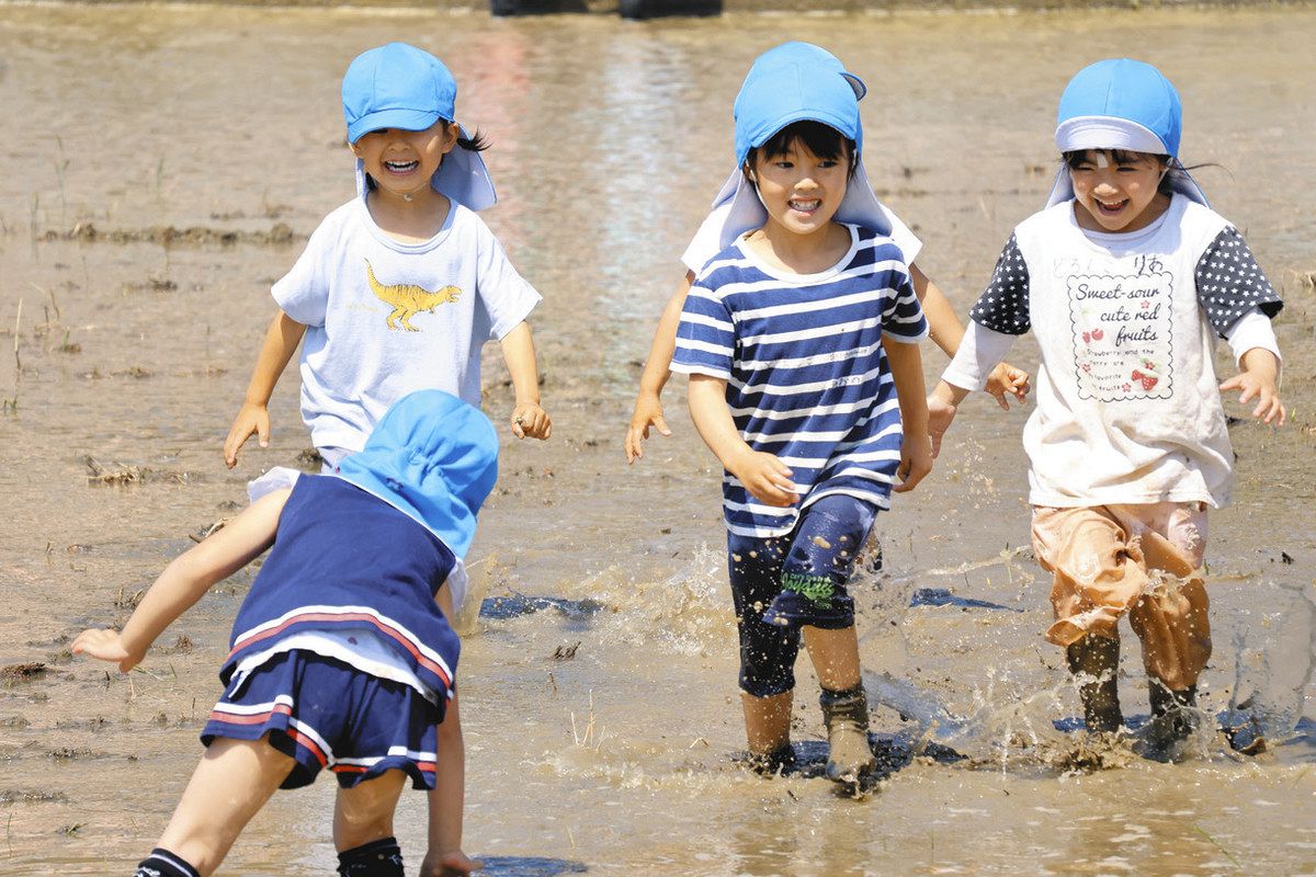 今日は思いっきり服を汚すよ 長野県飯田市の園児、 田んぼで泥んこ遊び 