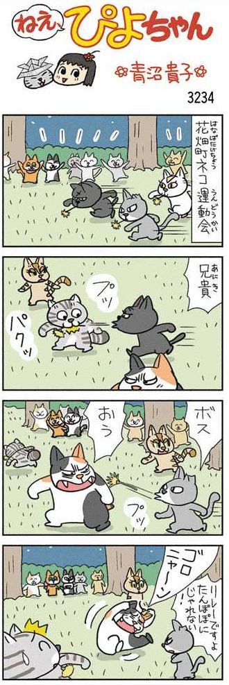 ねえ、ぴよちゃん：中日新聞Web