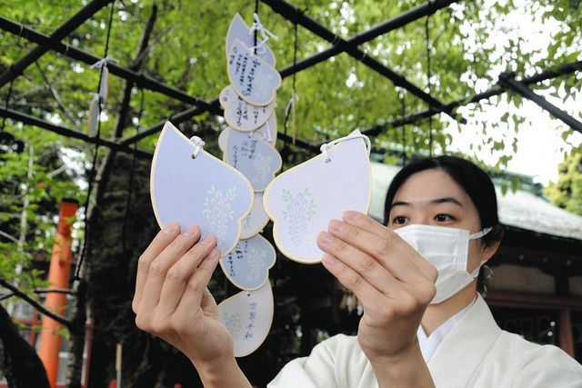 フジの花びらかたどった絵馬、話題に 津島神社が作製：中日新聞Web
