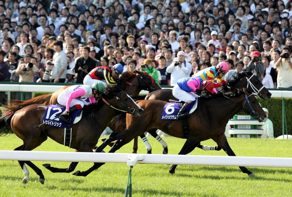 2冠馬メイショウサムソン、21歳で死ぬ 07年天皇賞春秋制覇など通算G1・4勝  ネット「ホンマ凄い男やった」「いぶし銀」「間違いなく名馬」：中日スポーツ・東京中日スポーツ