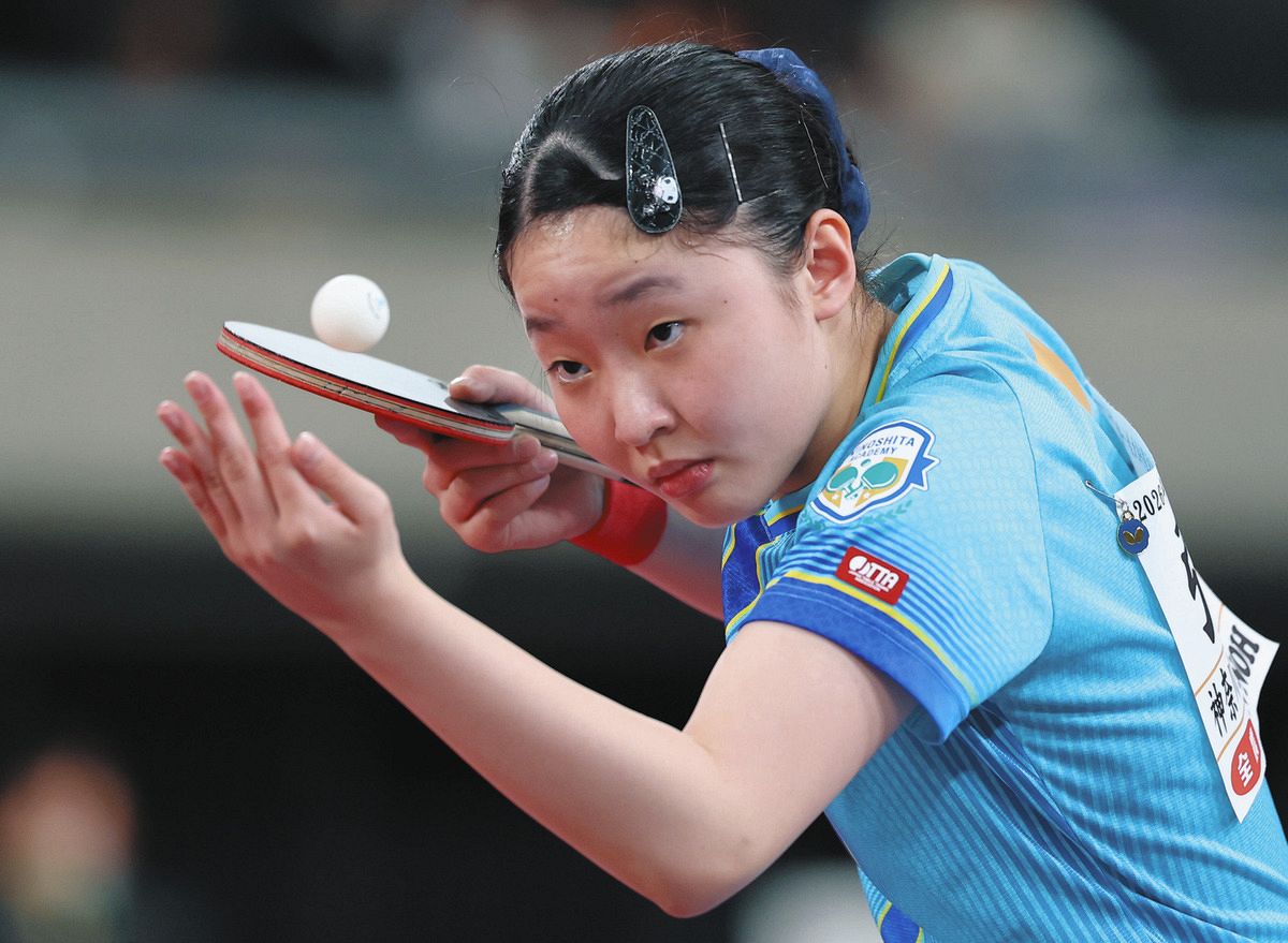 張本美和