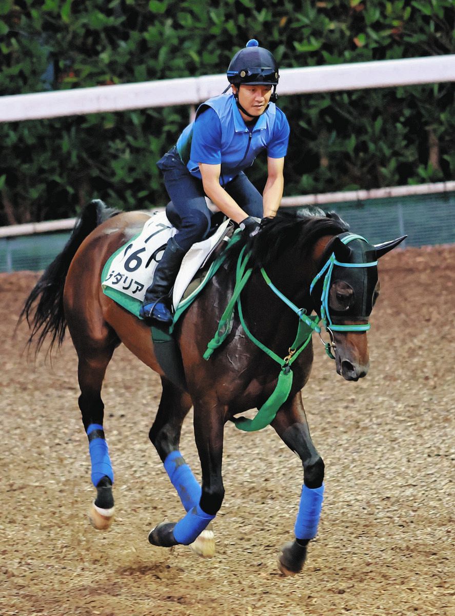 天皇賞・春】昨年の京都記念の勝ち馬プラダリア、6歳でも着実に良化