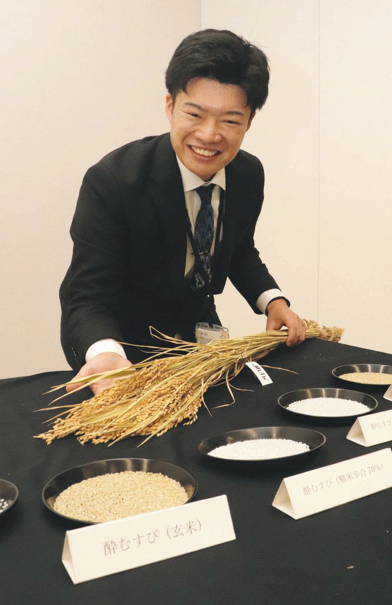県産酒米で42年ぶりに品種登録を出願した「酔むすび」＝県庁で