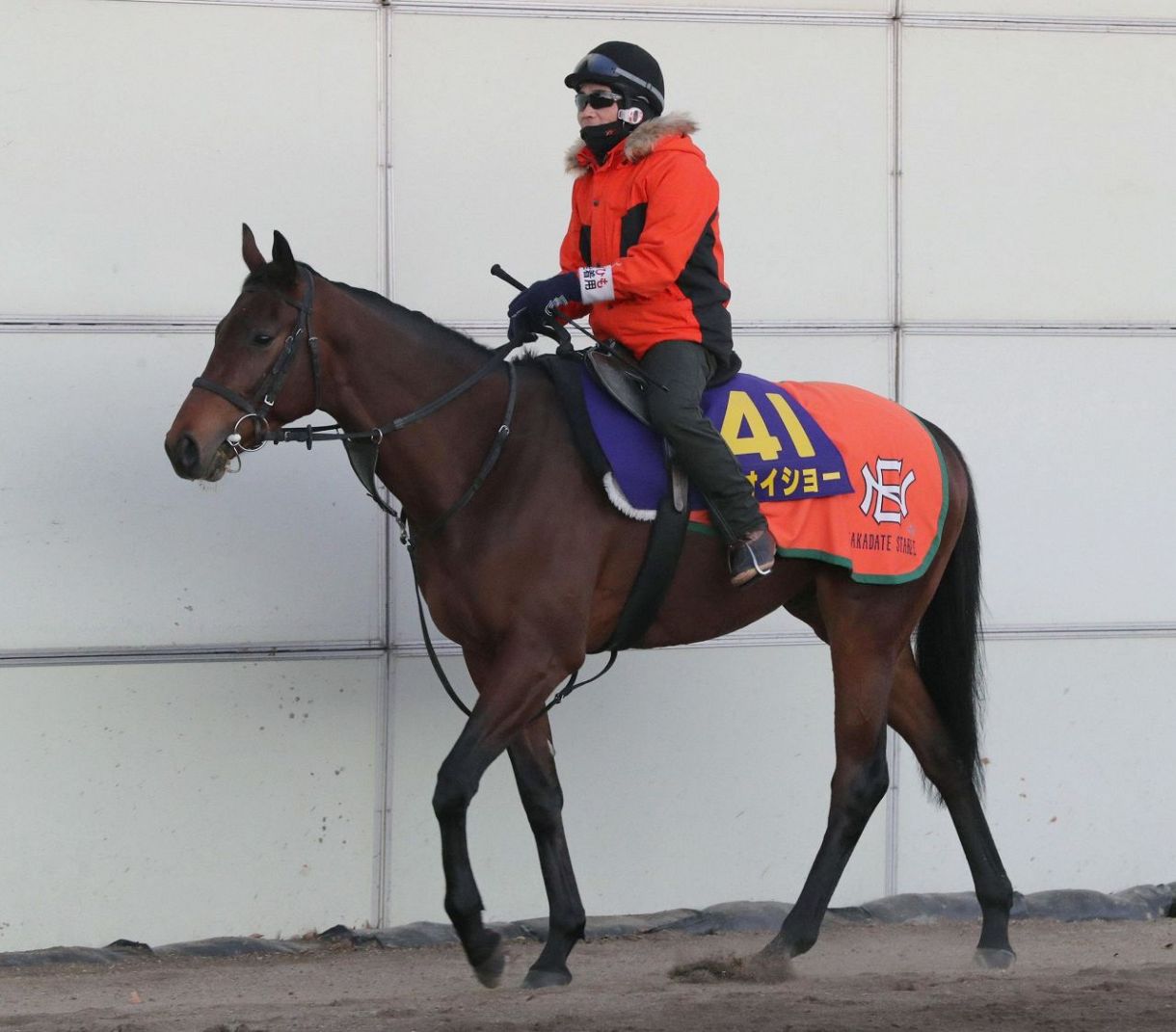 山吹賞 アオイショーが大外一気で快勝 青葉賞へ それで権利が取れればダービー 中日スポーツ 東京中日スポーツ