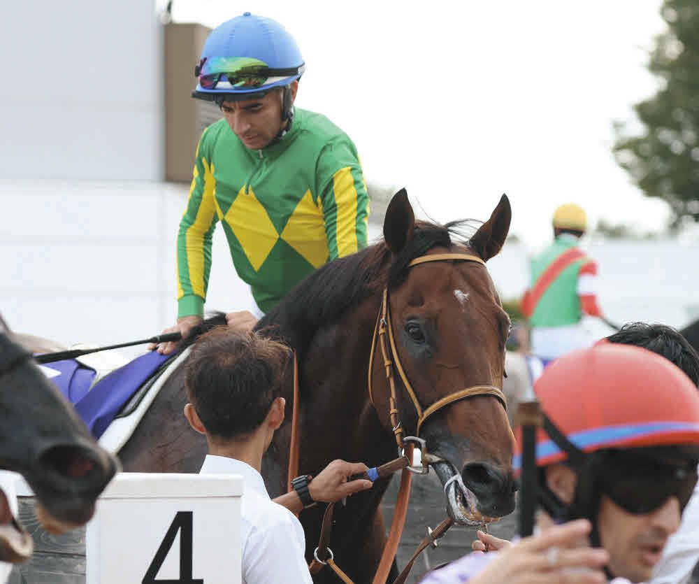 スプリンターズS】1番人気のサトノレーヴは4着 「馬場状態が前に有利