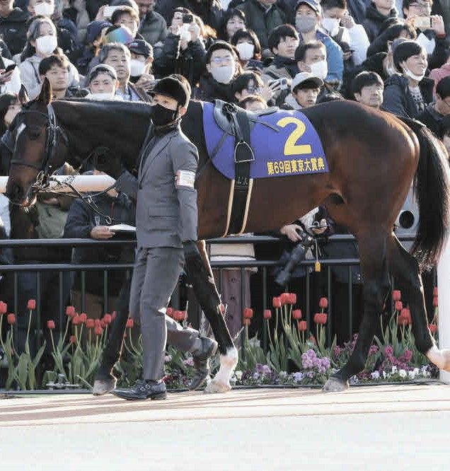 ノットゥルノ（ＴＣＫ特別区競馬組合提供）