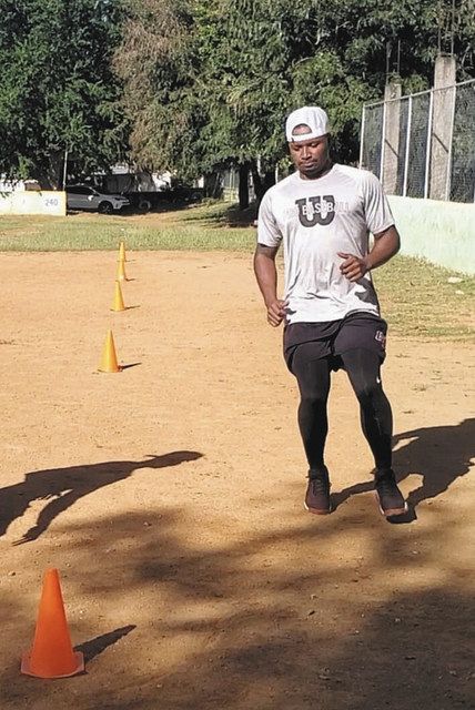 中日の外国人選手 来日めど立たず 開幕間に合わない想定も 中日新聞web