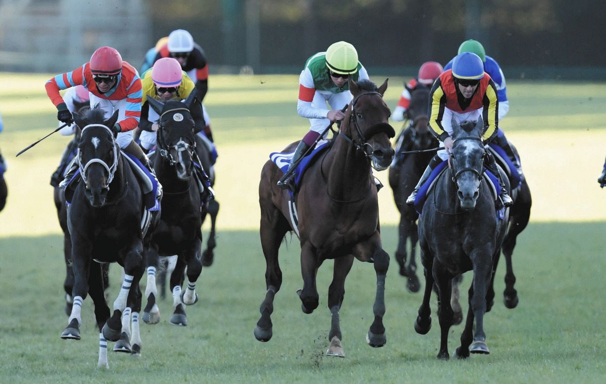 競馬 バゴ（クロノジェネシスの父）の凱旋門賞優勝実使用ゼッケン