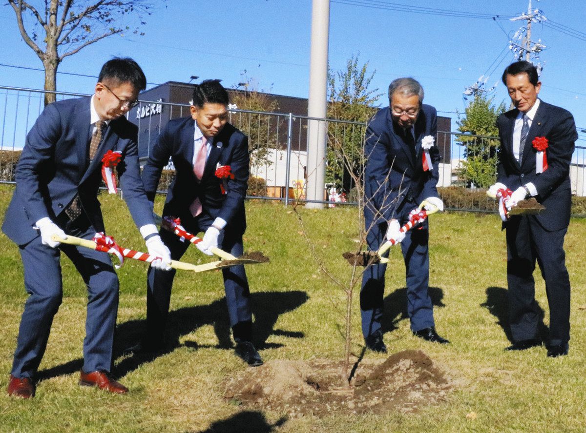 オオムラザクラを植える園田大村市長（左から2人目）、白鳥伊那市長（右から2人目）＝伊那市役所で
