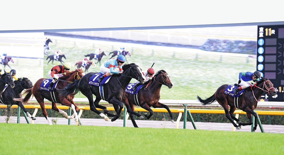 【パンサラッサ】レプリカゼッケン（天皇賞・秋　２着） 競馬 JRA パンサラッサ】レプリカゼッケン（天皇賞・秋 2着） 競馬 JRA