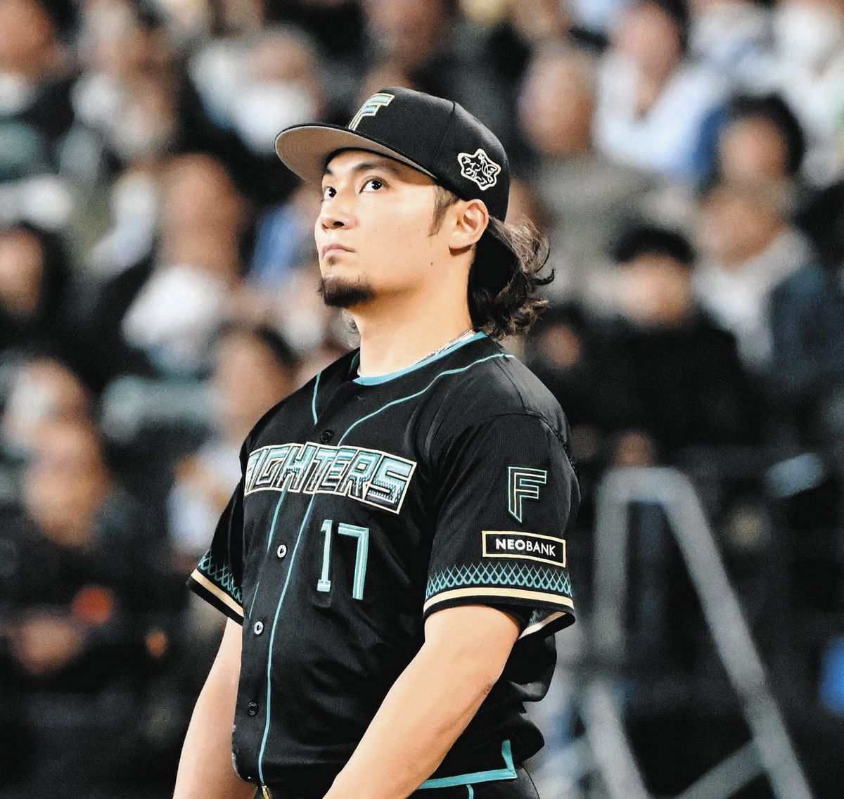 伊藤大海 エポック社の公式オンラインショップです。【伊藤大海】引き出しを