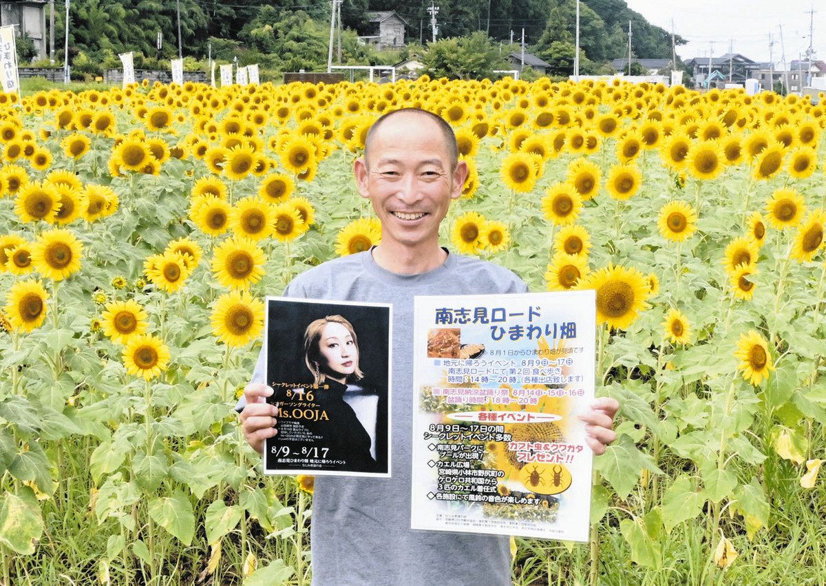 解体跡地で丹精 ヒマワリ満開 輪島・南志見 9日から催し開催：北陸中