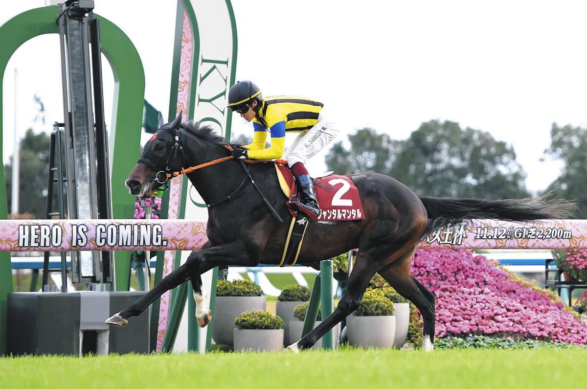 ◆　競馬　JRA　◆　ジャンタルマンタル　◆朝日杯フューチュリティ◆２種類セット 2023年 朝日杯フューチュリティステークス（GⅠ） | ジャンタル