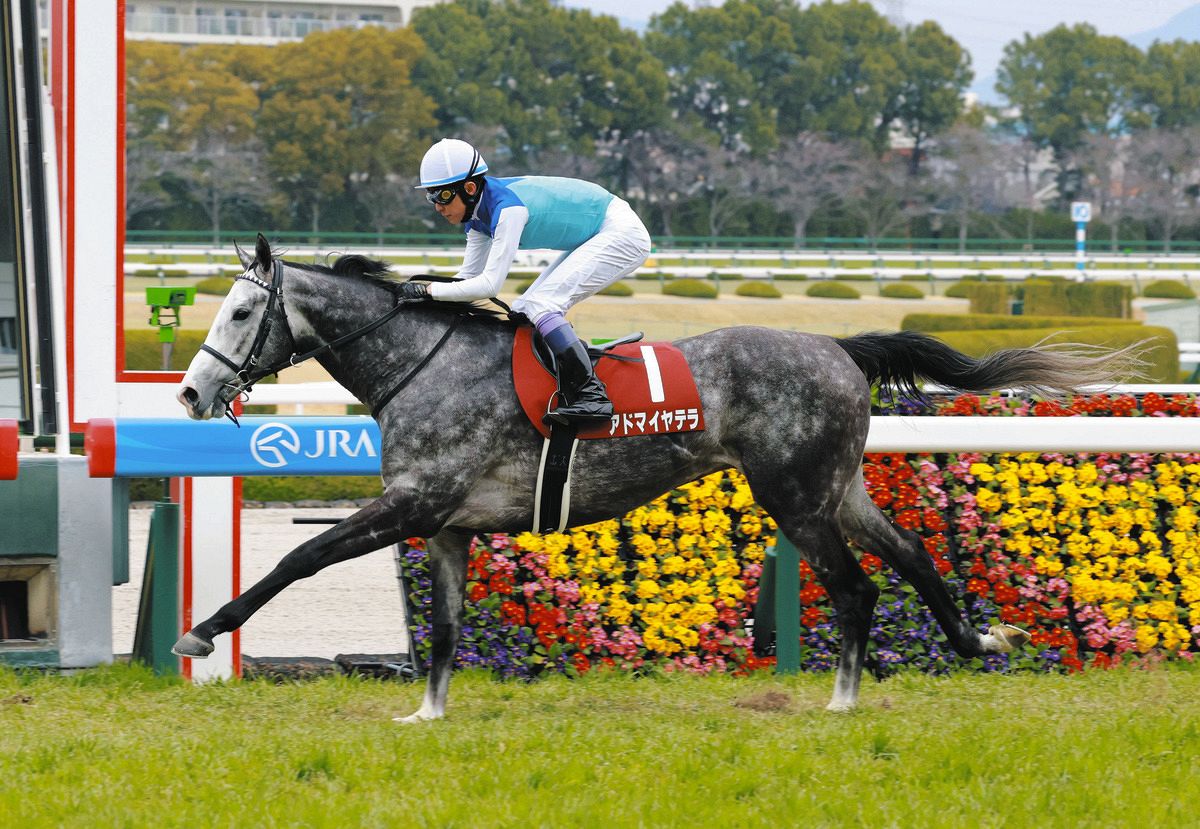 阪神大賞典】直線一気に抜け出したアドマイヤテラが重賞2勝目 武豊騎手
