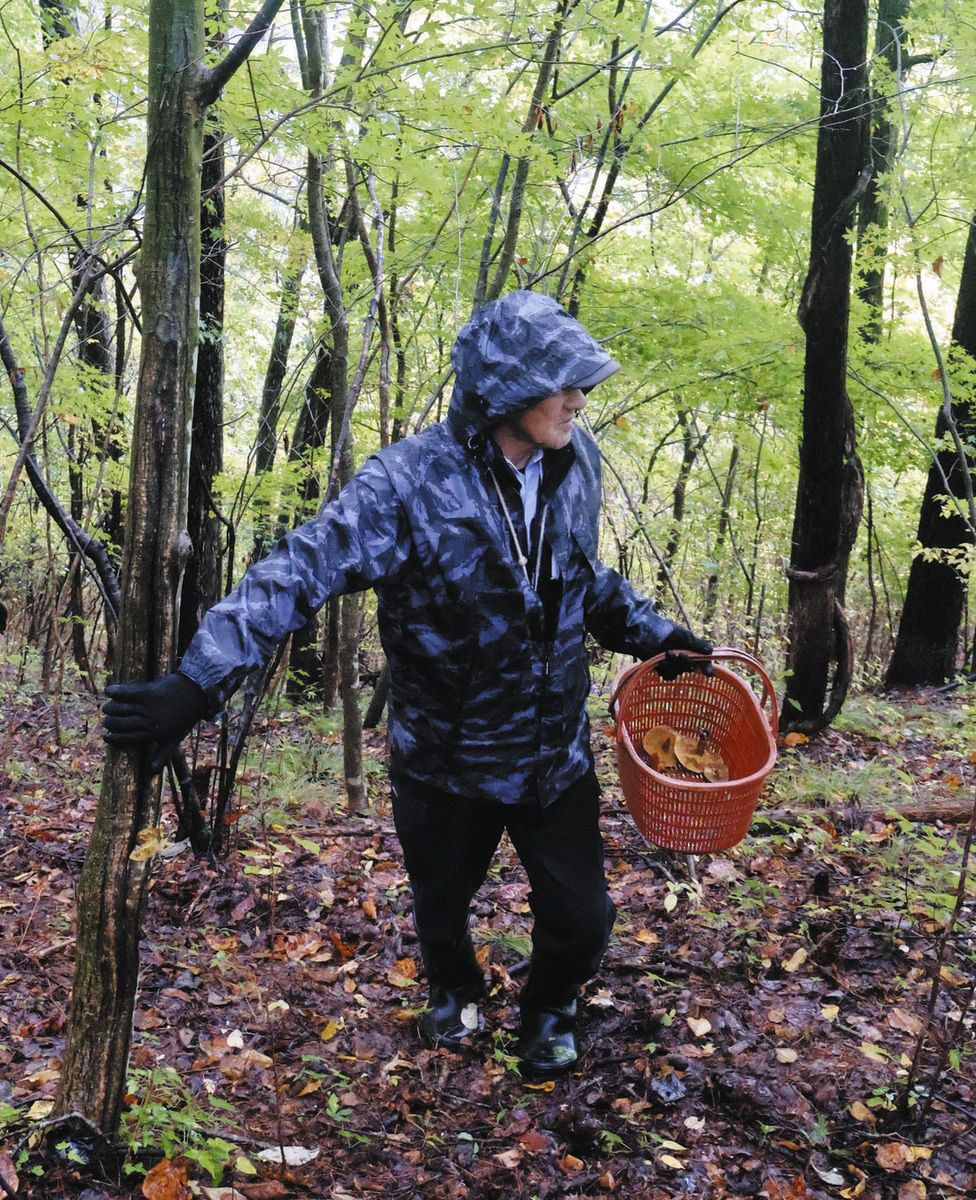マツタケ豊作影響か？長野で遭難相次ぐ 達人が実践する安全なキノコ