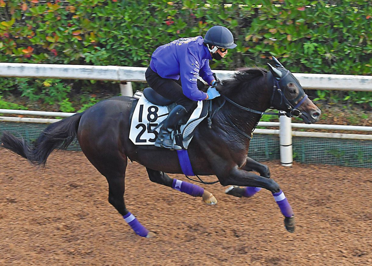 毎日王冠 4番人気ポタジェ粘って3着 吉田隼 スローになると思っていたので少し出して行った 中日スポーツ 東京中日スポーツ