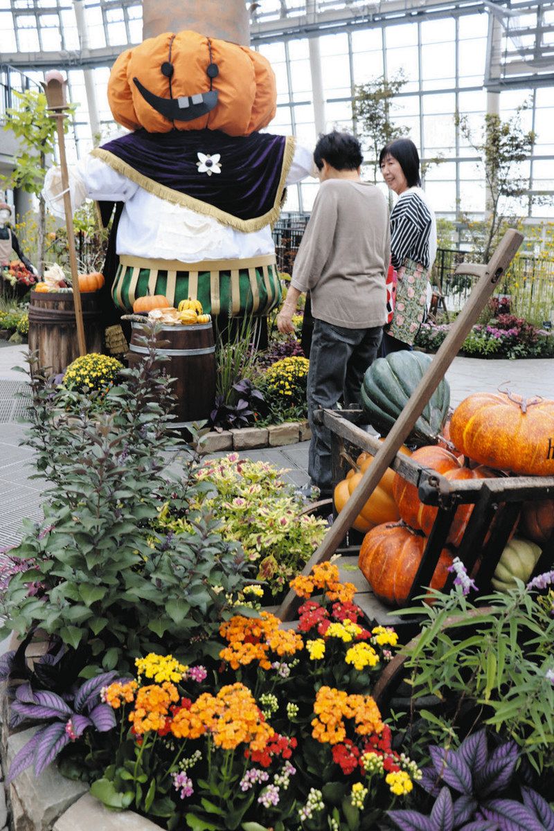 デンパークに薫る秋色 フラワーショーやトウガラシの世界展も：中日新聞Web