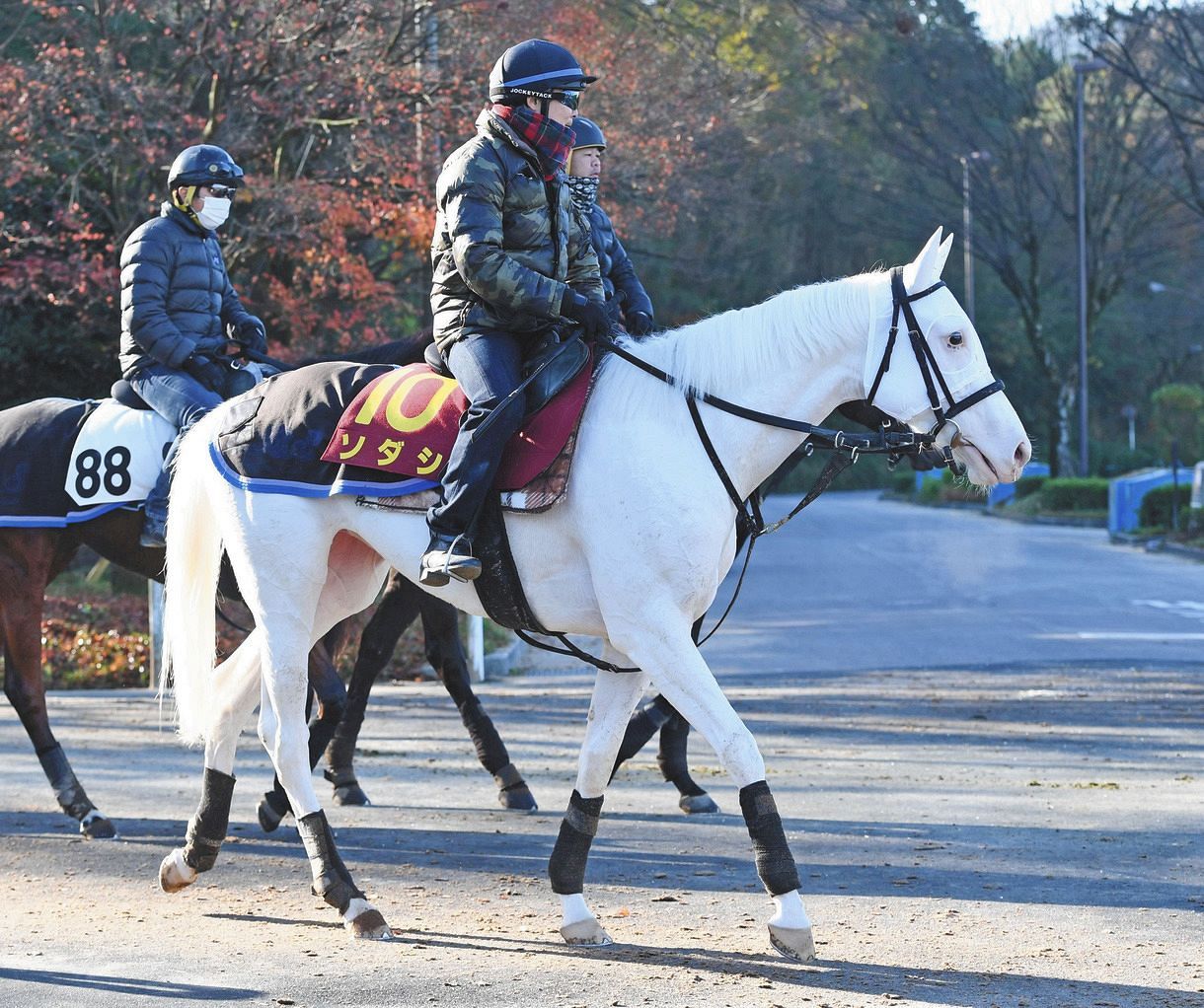 21年の牝馬三冠路線は ソダシ が中心 白毛だと 名物厩務員が明かした 意外な 重圧 中日スポーツ 東京中日スポーツ