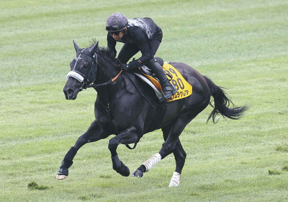函館スプリントS 傾向と対策】前走大敗馬の巻き返しも十分 枠順による