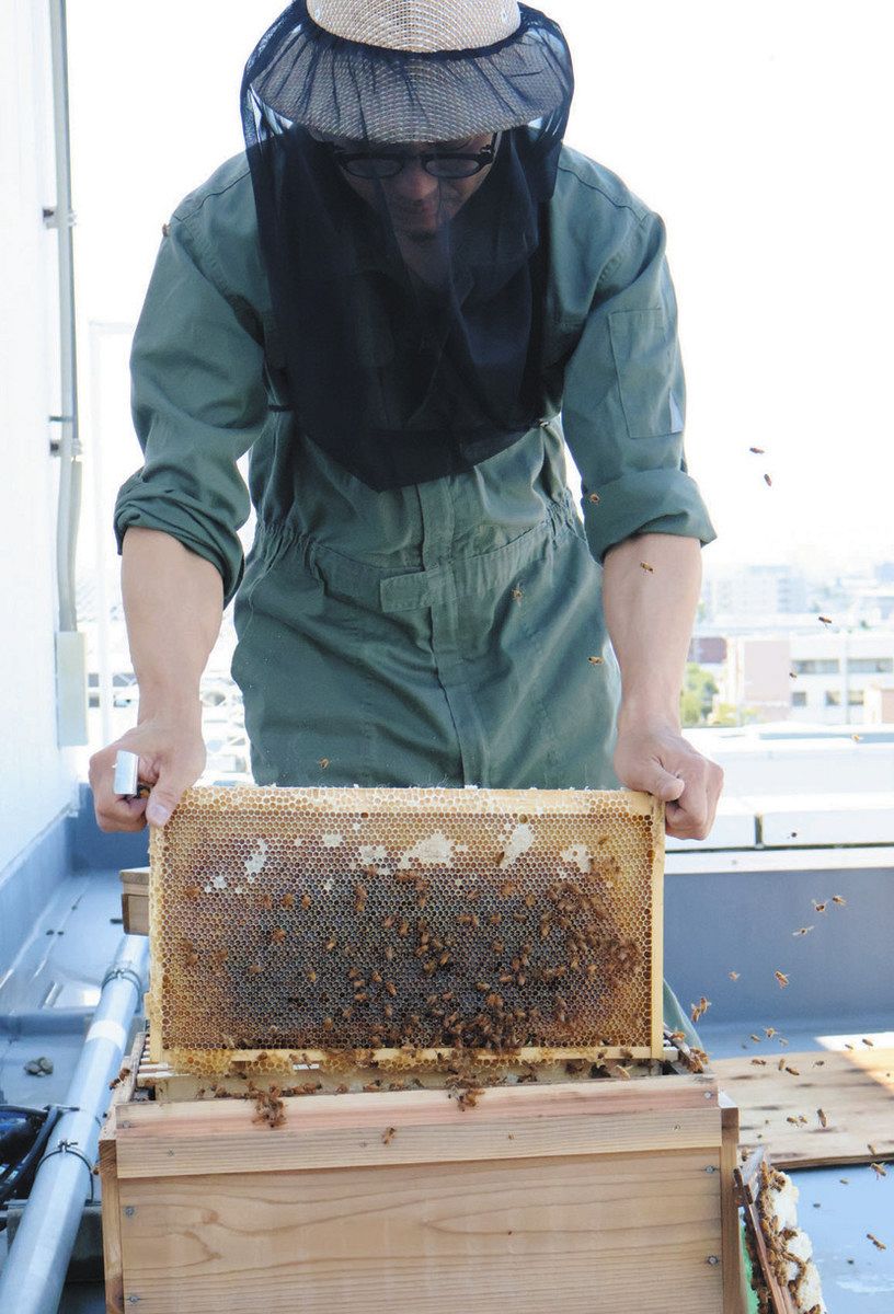 松本のおいしい蜂蜜召し上がれ みつばちプロジェクト、井上本店から