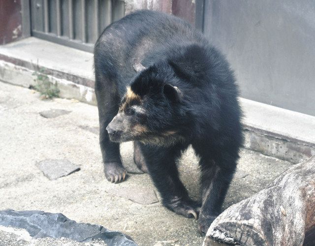 東山動物園 東山動物園 (千種区) - ツアーとアクティビティ | エクスペディア