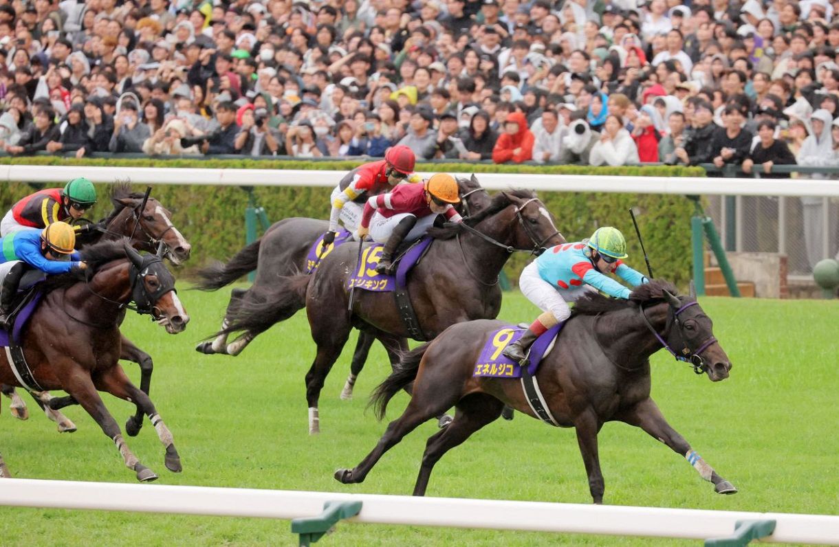 菊花賞】1番人気エネルジコがラスト1冠を飾る、C・ルメールは同レース3