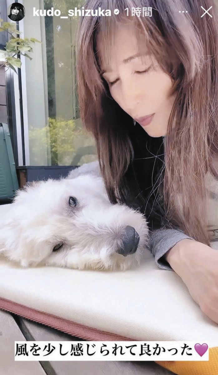 kudou ◇工藤静香、穏やかな表情で愛犬とふれあい【写真】：中日スポーツ・東京中日スポーツ